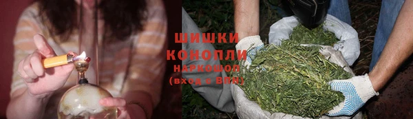 прущая мука Гусиноозёрск