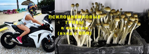 а пвп мука Гусев